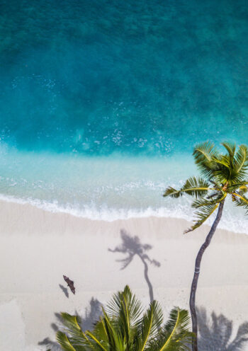 5 things you can not miss in Miami